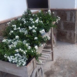Tenuta Caiatina Extérieur