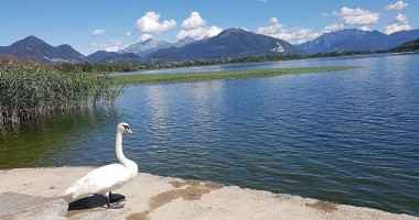 Lake Summer outside