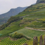 Weingut Ebner Extérieur