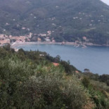 La Giulia Extérieur