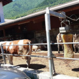 Agriturismo Adda Vegia