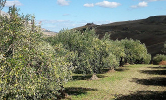 Fattoria outside