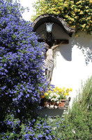 Buschenschank Glögglkeller outside