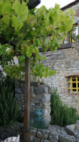 Azienda Agricola Casamatta B&b outside