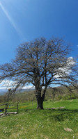 La Grande Quercia outside