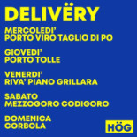 Mr. Hog Burger Ariano menu