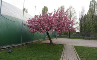 Del Centro Sportivo outside