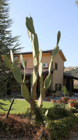 Agriturismo Le Talisie outside