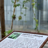 Bräustüberl München Carta