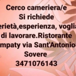 Simpaty Carte