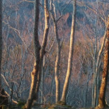 Rifugio Asqua outside