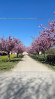 Cascina I Merli outside