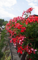 Agriturismo Al Castagneto outside