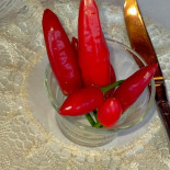 Agriturismo Bardari Restaurant Nourriture
