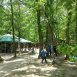 Parco Arenella Exterior