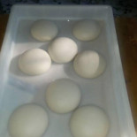 Tirabusciò Comida