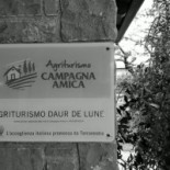 Daur De Lune Carta