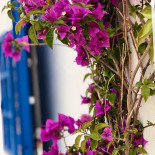 Paros Experience Exterior