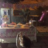 Esteja Catering Dentro
