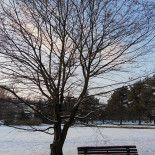 Parco Berrini Exterior