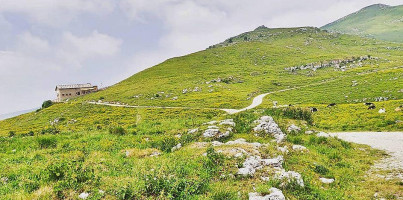 Rifugio Malga Malera outside