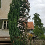 Schmiedlhof Extérieur