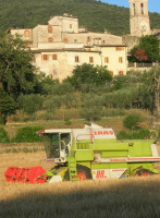 Agriturismo Collelignani outside