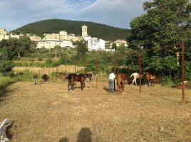 Agriturismo Collelignani outside