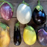 Il Boscasso food