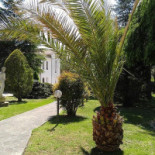 Capriccio Extérieur