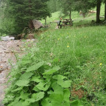Malga Stableti Exterior