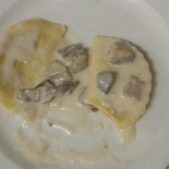 Scoiattolo Comida
