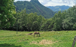 La Pratolina Azienda Agricola outside