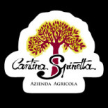 Cantina Spinetta Carte