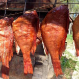 Karsio Uodega Cibo