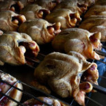 Pollo Tu Sei Mio Nourriture
