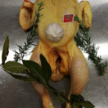 Pollo Tu Sei Mio Nourriture