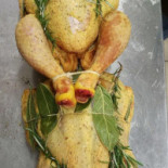 Pollo Tu Sei Mio Nourriture