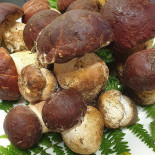 Dal Feroce Nourriture