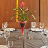 Nani Osteria Dentro