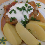 Nijolė Cibo
