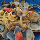 Seashell Cibo