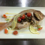 Seashell Cibo
