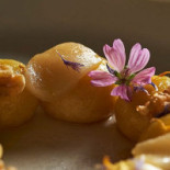 Indiniò Comida