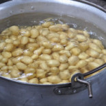 Ciot Tavola Calda Nourriture