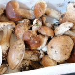 La Cantiniera Nourriture