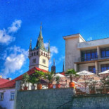 Kotyza
