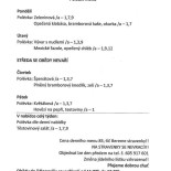 Obecní Hostinec Jeníkovice menu