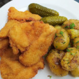Restaurace Bludička Cibo