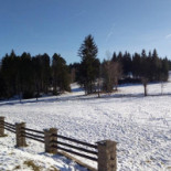 Havlovka